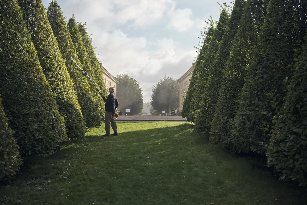 3bb604c2-7a9b-4eff-04b9-08ddc2d4b279