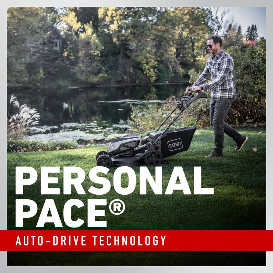 c76e014a-d0bd-4784-b72b-08dd7dabaef6