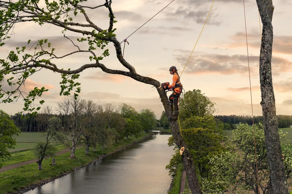 92166f80-77a2-4a5c-4c54-08ddc46356a1