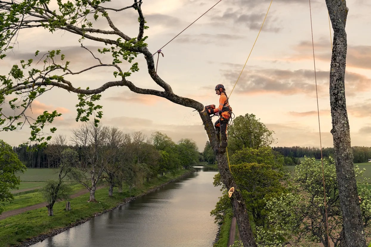 92166f80-77a2-4a5c-4c54-08ddc46356a1