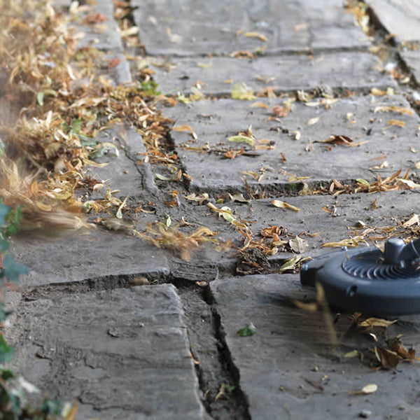 dba0e89e-cfbb-48a2-4948-08dde0ae737d