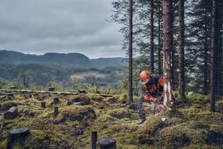 0c4ade62-e414-41ea-47ed-08dde0ae737d