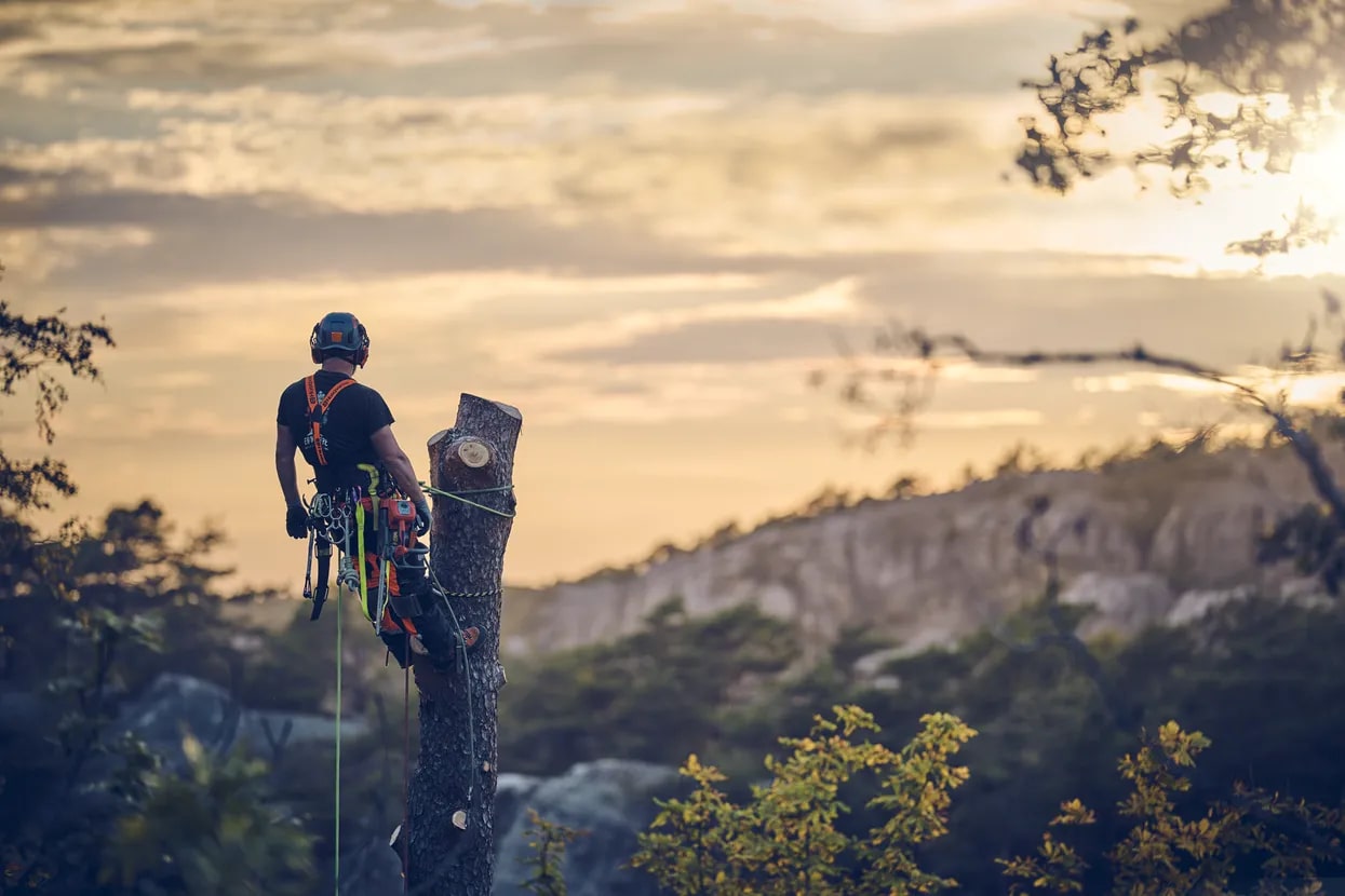 7ce25765-ab11-41be-4c52-08ddc46356a1